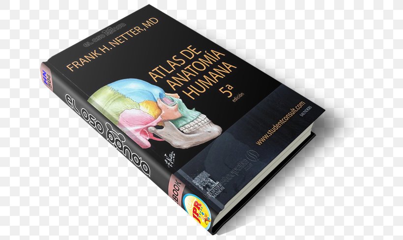 Atlas Der Anatomie Des Menschen Human Anatomy Book Human Physiology, PNG, 671x489px, Watercolor, Cartoon, Flower, Frame, Heart Download Free