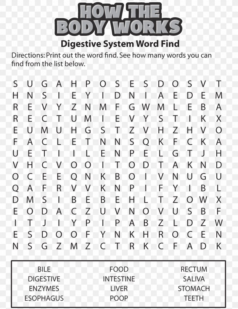 Circulatory System Word Search Human Body Heart Respiratory System Png 924x10px Watercolor Cartoon Flower Frame Heart