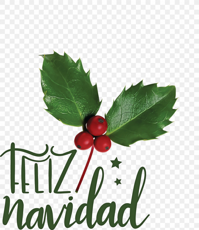 Feliz Navidad Merry Christmas, PNG, 2592x3000px, Feliz Navidad, Christmas Day, Christmas Decoration, Christmas Lights, Christmas Ornament Download Free