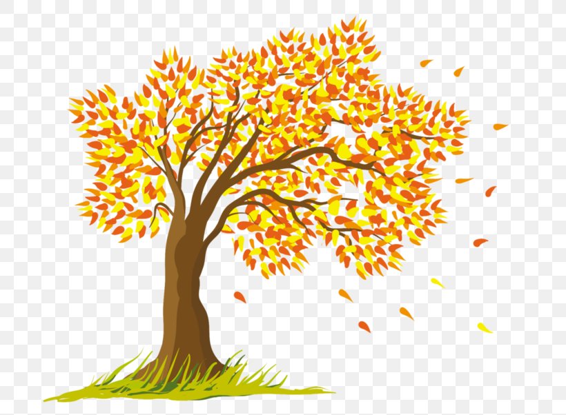 Vector Graphics Clip Art Illustration Royalty-free Autumn, PNG ...