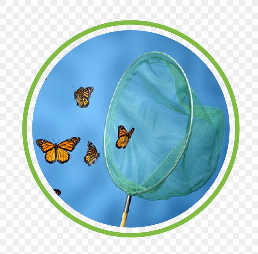 Butterfly Net, PNG, 1231x1212px, Butterfly, Butterfly Net, Insect, Invertebrate, Moths And Butterflies Download Free