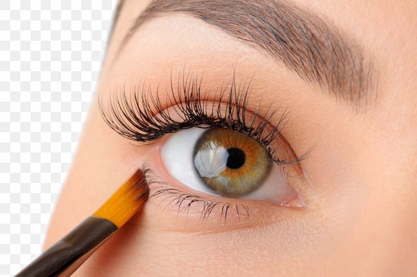 Eyebrow Cosmetics Beauty Eyelash, PNG, 1100x732px, Eye, Beauty, Bijin, Close Up, Cosmetics Download Free