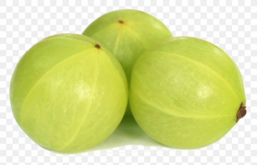 Fruit Indian Gooseberry Stock Photography, PNG, 900x580px, Fruit, Drawing, Food, Gooseberry, Herb Download Free