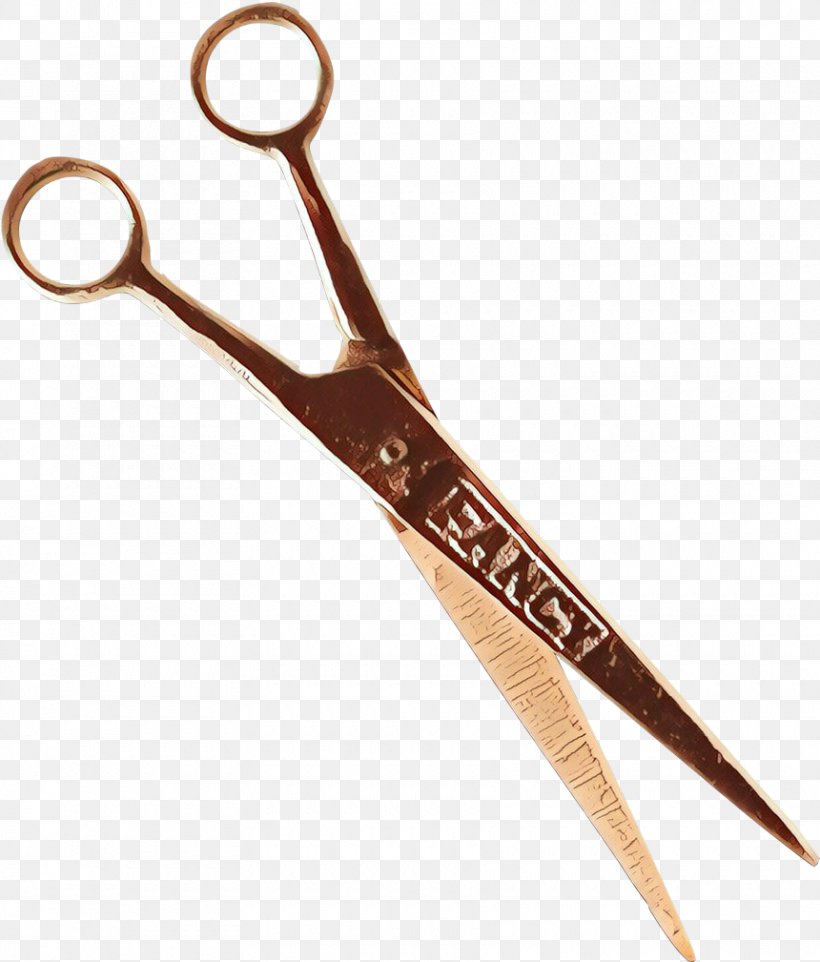 Hair Cartoon, PNG, 860x1009px, Cartoon, Cutting Tool, Hair Care, Hair Shear, Office Instrument Download Free