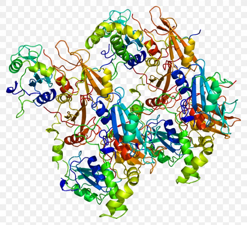 Syk Tyrosine Kinase Protein Kinase, PNG, 1015x928px, Watercolor, Cartoon, Flower, Frame, Heart Download Free