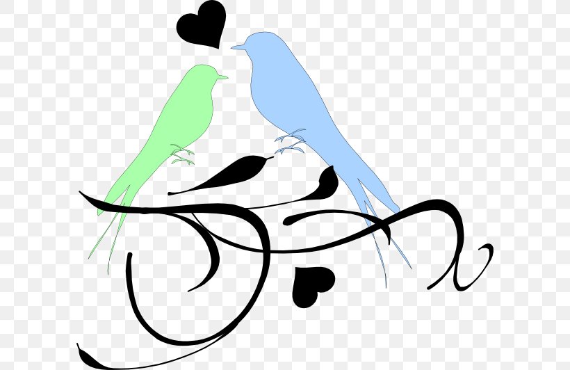 Bird Owl Parrot Rook Clip Art, PNG, 600x532px, Bird, Art, Artwork, Beak, Birdcage Download Free