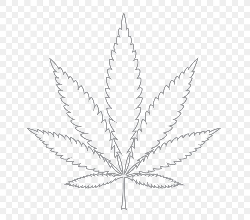 Cannabis Hash, Marihuana & Hemp Museum Leaf White Widow, PNG, 720x720px, Cannabis, Black And White, Cannabis Shop, Drawing, Flowering Plant Download Free