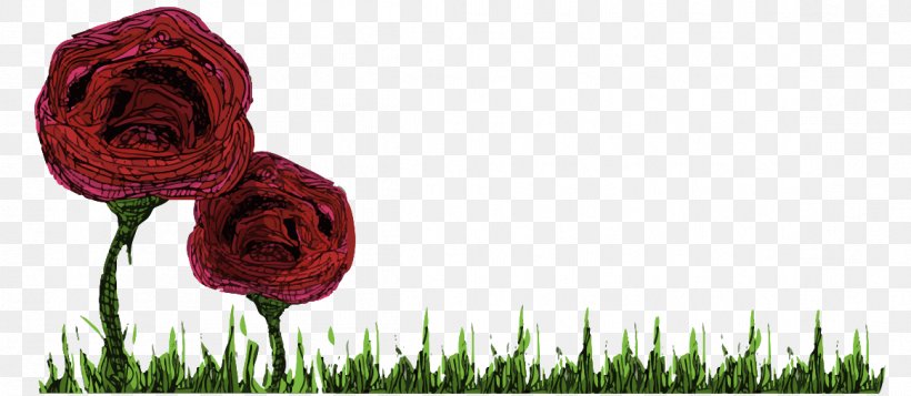 Garden Roses Flower Floral Design .es, PNG, 1163x507px, Garden Roses, Com, Cut Flowers, Document, Electronic Document Download Free