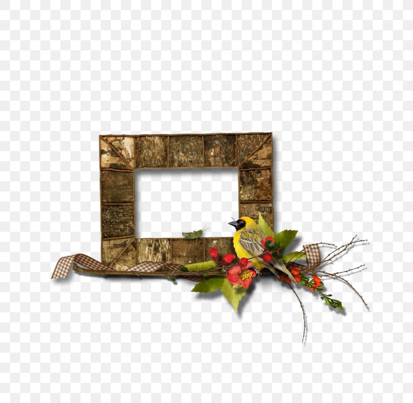 Picture Frames Birch Bark Mirror, PNG, 800x800px, Picture Frames, Bark, Birch, Birch Bark, Flower Download Free