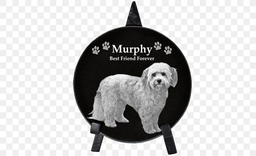 Schnoodle Cockapoo Commemorative Plaque Dog Breed Memorial, PNG, 500x500px, Schnoodle, Carnivoran, Christmas Ornament, Cockapoo, Commemorative Plaque Download Free