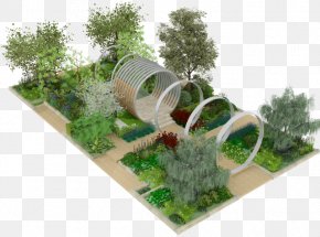 Hardy Aquatic Plants - Chelsea Flower Show Gardening Royal Horticultural Society Hillier Nurseries PNG