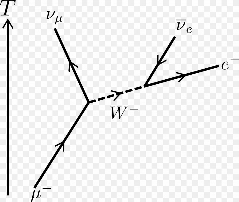 Feynman Diagram Muon Radioactive Decay Electron Neutrino, PNG, 1920x1629px, Diagram, Area, Black And White, Branch, Electron Download Free