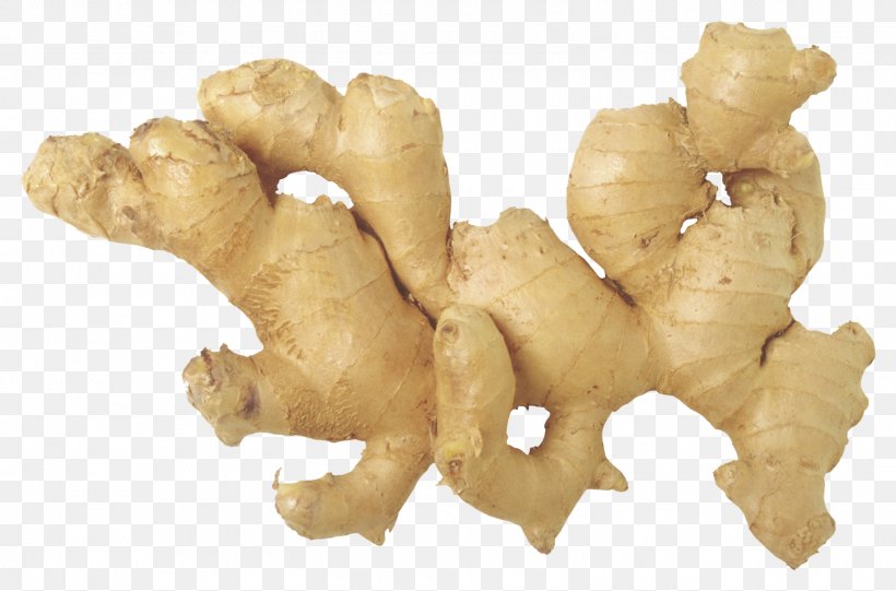 Ginger Tea Ginger Ale Chinese Cuisine Root Vegetables, PNG, 1600x1056px, Ginger Tea, Alpinia Galanga, Chinese Cuisine, Food, Galangal Download Free