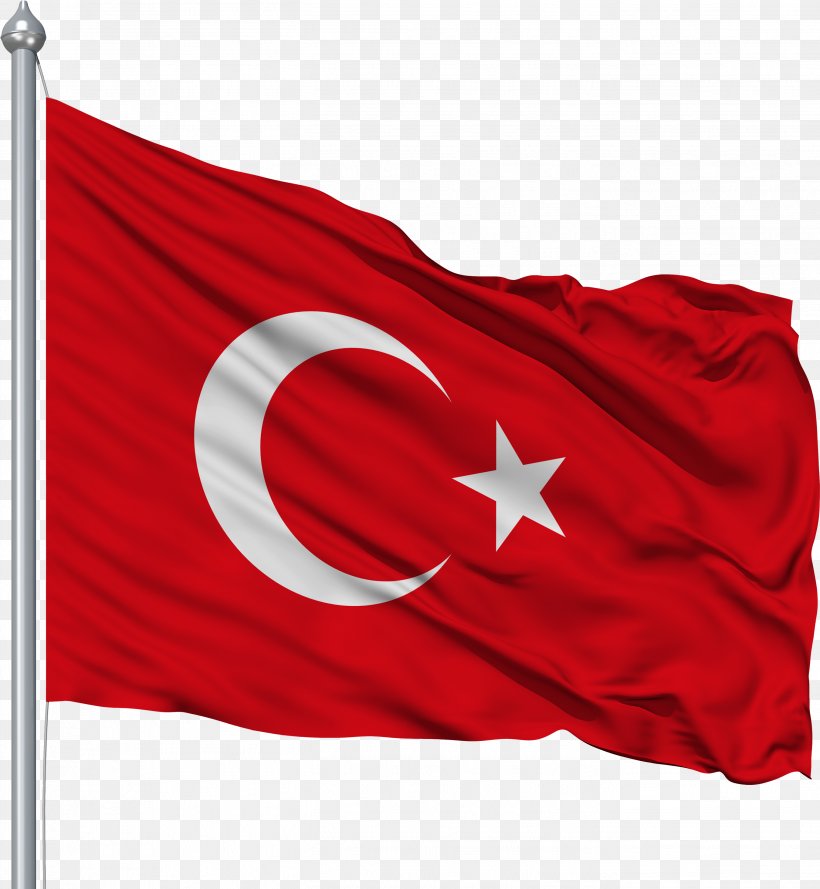 India Flag National Flag, PNG, 2702x2931px, Turkey, Crescent, Flag, Flag Of India, Flag Of Poland Download Free