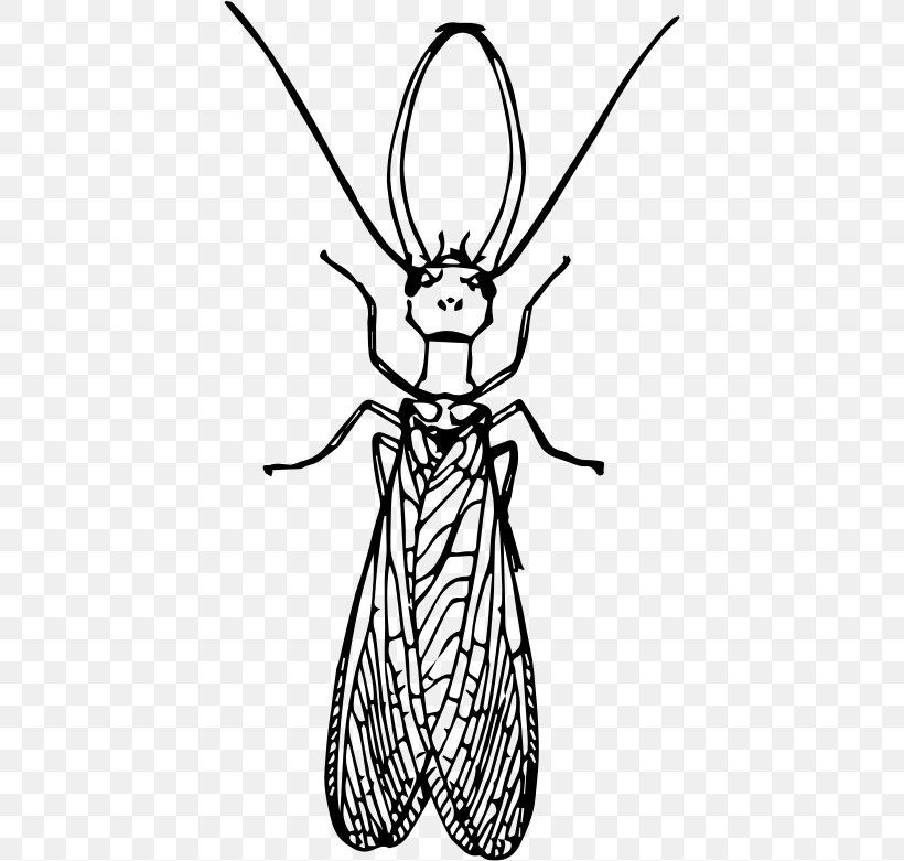 Insect Dobsonflies Drawing Clip Art, PNG, 414x781px, Insect, Animal, Art, Artwork, Black And White Download Free