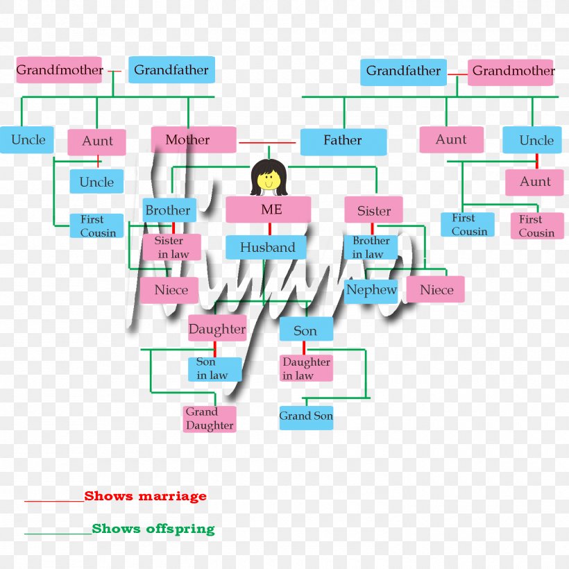 Paper USMLE Step 3 Diagram Family Tree Olympiad, PNG, 1500x1500px, Paper, Area, Brand, Diagram, Family Download Free