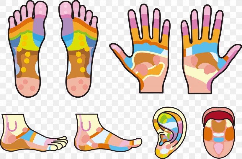 Hand Reflexology Foot, PNG, 2351x1546px, Reflexology, Acupressure, Alternative Health Services, Area, Coreldraw Download Free