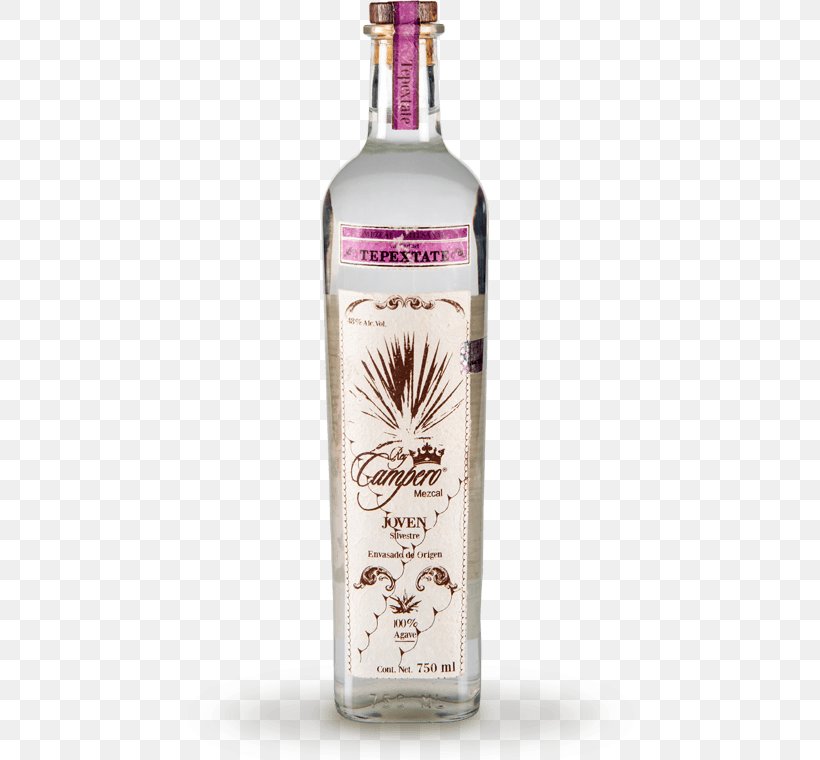 Agave plant alcohol drink information