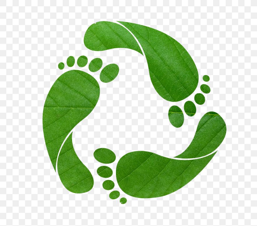 Carbon Footprint Ecological Footprint Recycling Natural Environment Sustainability, PNG, 768x722px, Carbon Footprint, Botany, Carbon Neutrality, Ecological Footprint, Ecology Download Free