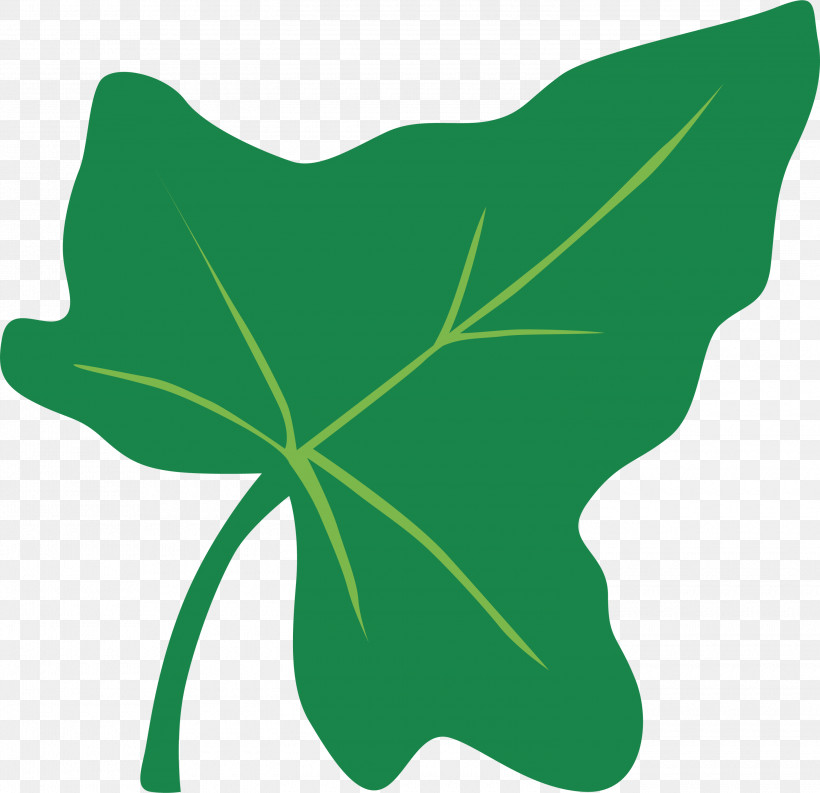 Plant Stem Petal Leaf Green M-tree, PNG, 3000x2902px, Plant Stem, Biology, Flower, Green, Leaf Download Free
