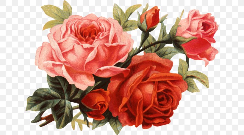 Rose Paper Clip Art, PNG, 650x455px, Rose, Artificial Flower, Cut Flowers, Decoupage, Digital Image Download Free