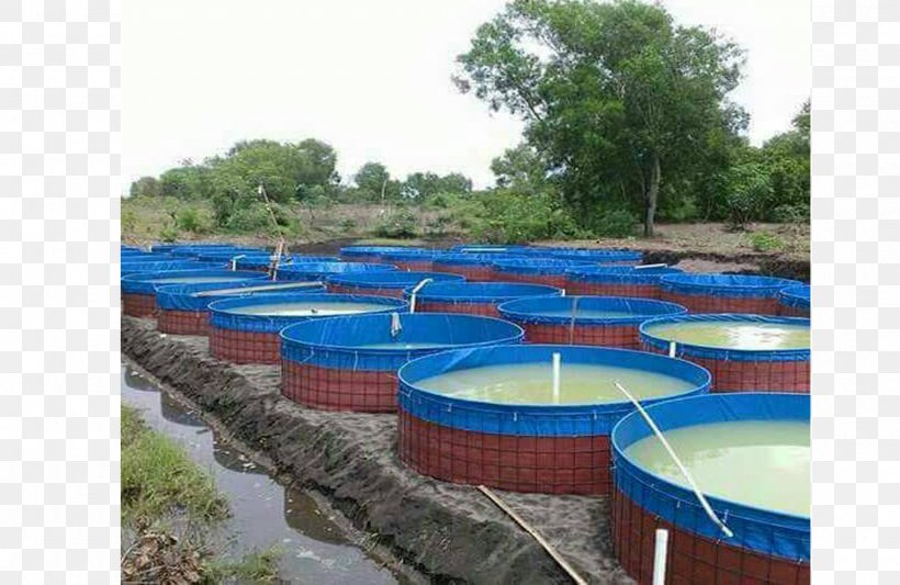 Sabar Jaya Pond Bukalapak Swimming Pool Iqbal Jaya Tenda, PNG, 2000x1300px, Pond, Bukalapak, Diameter, Indonesia, Industry Download Free