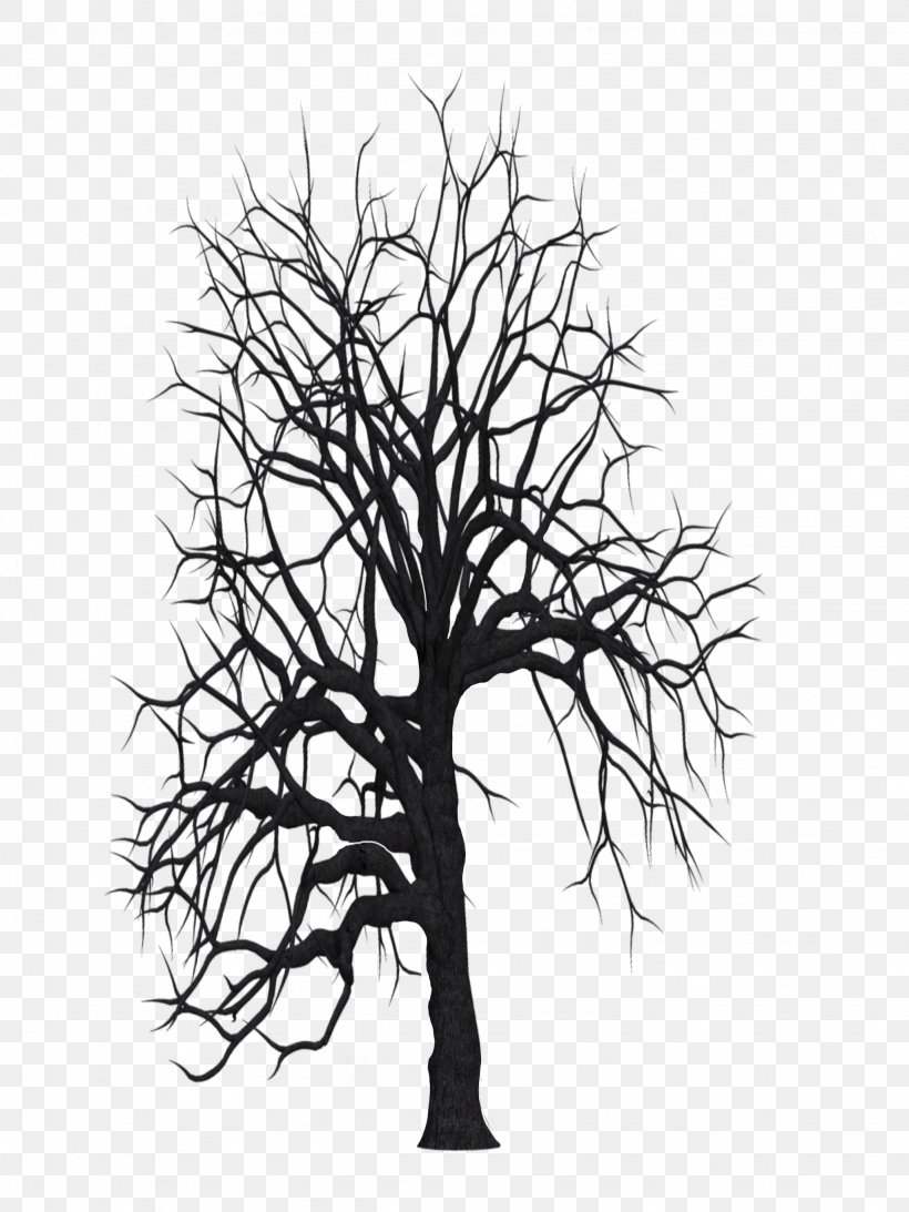 Tree Trunk Drawing, PNG, 2048x2732px, Plants, Biology, Black White M, Branch, Communications System Download Free
