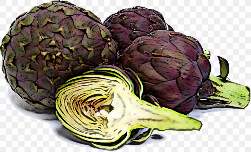 Artichoke Vegetable Food Cynara Cabbage, PNG, 872x529px, Artichoke, Cabbage, Carciofi Alla Giudia, Cynara, Food Download Free