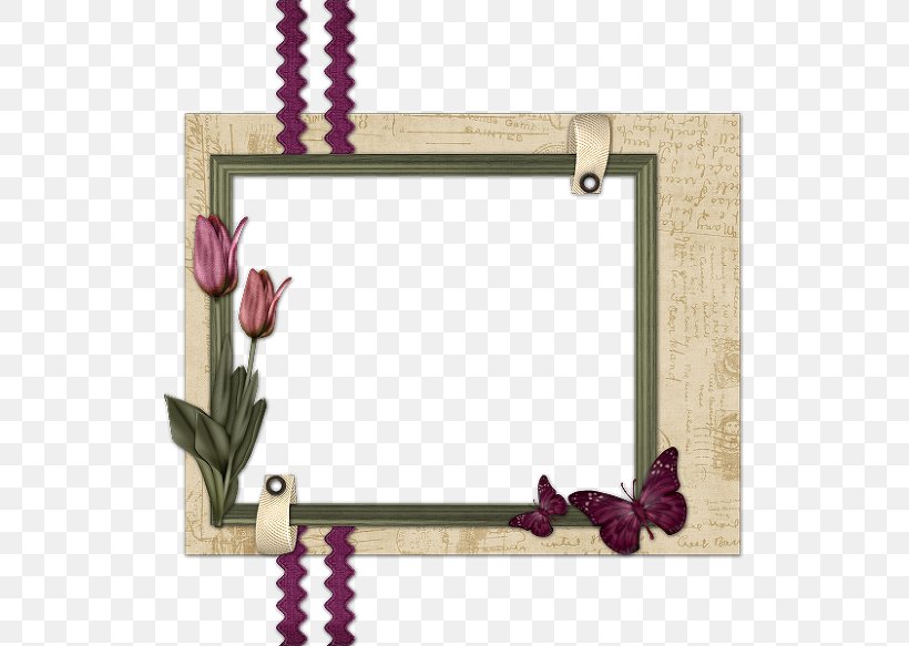 Butterfly Picture Frames Cartoon Drawing, PNG, 583x583px, Butterfly, Cartoon, Copyright, Decor, Decorative Arts Download Free