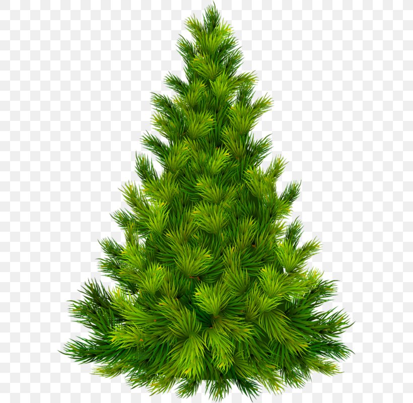 Christmas Tree Christmas Ornament Clip Art, PNG, 594x800px, Christmas Tree, Biome, Christmas, Christmas Decoration, Christmas Ornament Download Free