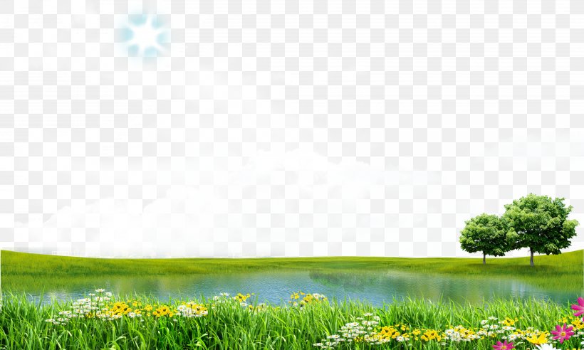 Download Icon, PNG, 5000x3000px, Gratis, Daytime, Energy, Field, Flower Download Free