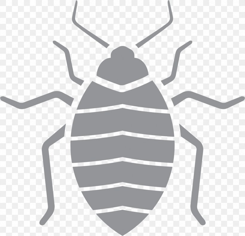 Reading Cartoon, PNG, 1677x1619px, Pest, Beetle, Blister Beetles, Bug, Cockroach Download Free