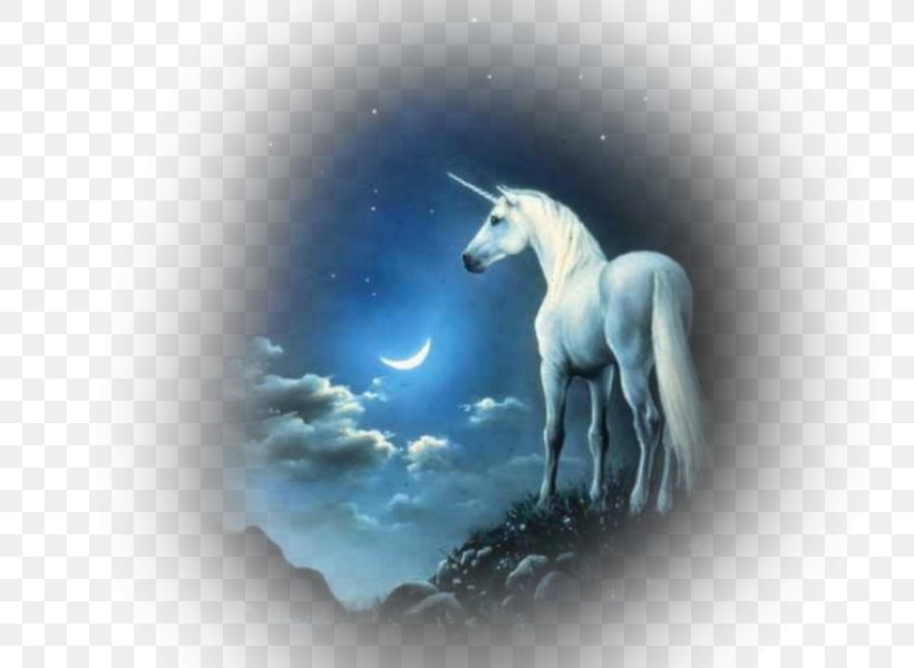 Unicorn Mythology Desktop Wallpaper, PNG, 800x600px, Unicorn, Animation, Blingee, Fictional Character, Legendary Creature Download Free