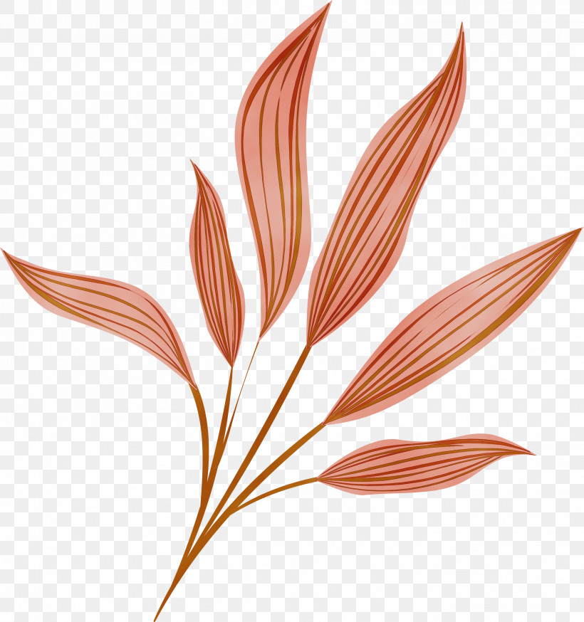Leaf Plant Flower Grass Family Grass, PNG, 2812x3000px, Watercolor Leaf, Cartoon Leaf, Flower, Grass, Grass Family Download Free