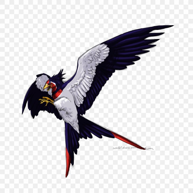 Macaw Parrot Beak Wing Feather, PNG, 900x900px, Macaw, Beak, Bird, Bird Of Prey, Eagle Download Free