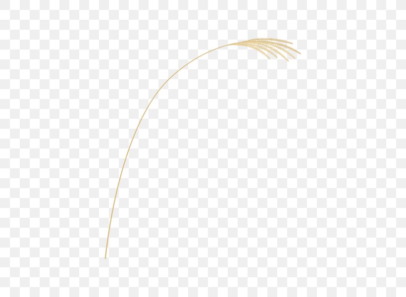 Product Design Line Feather, PNG, 600x600px, Feather Download Free