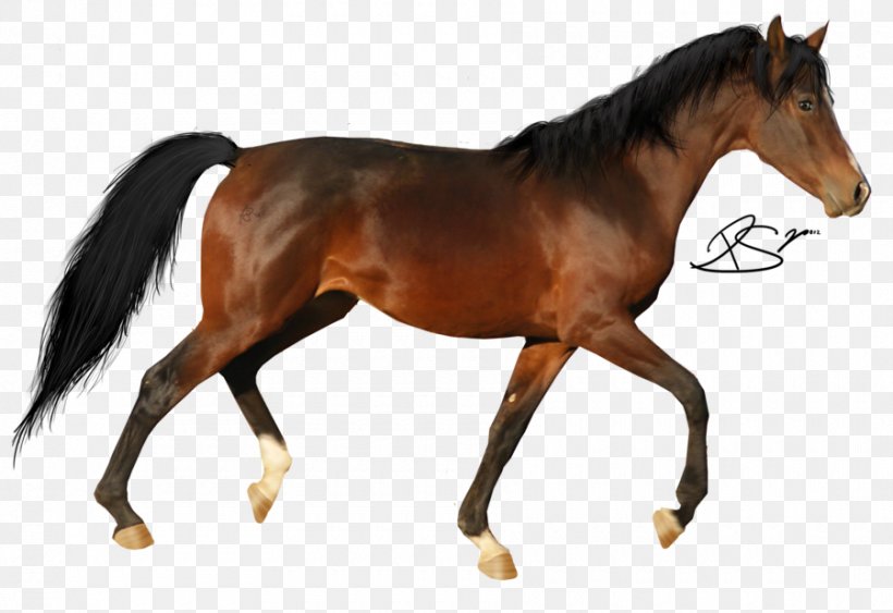 Tennessee Walking Horse Pony Clip Art, PNG, 900x618px, Tennessee Walking Horse, Animal, Animal Figure, Bit, Black Download Free