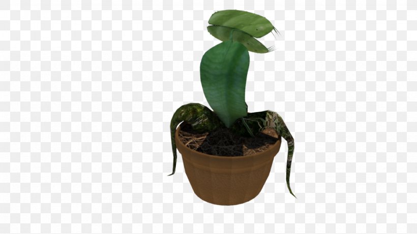 Flowerpot Leaf Houseplant, PNG, 1024x576px, Flowerpot, Houseplant, Leaf, Plant Download Free