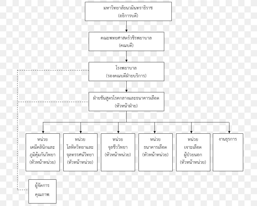 Product Design Document Line Angle, PNG, 751x658px, Document, Area, Brand, Diagram, Material Download Free