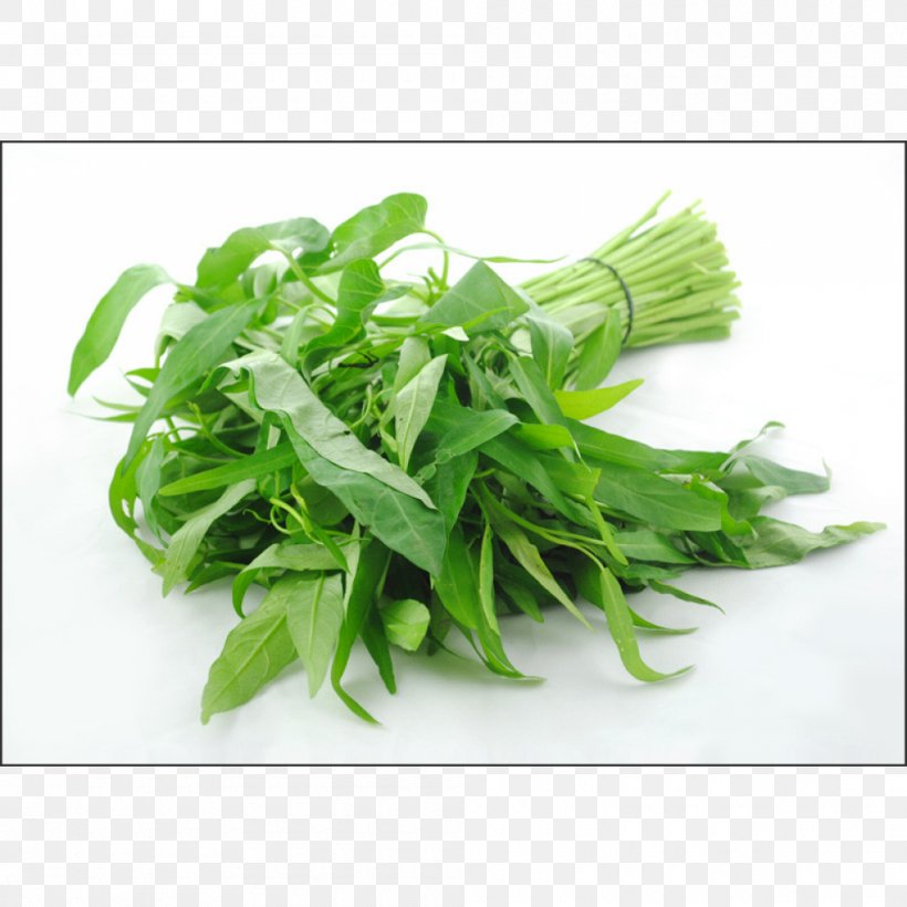 Water Spinach Vegetable Food Meat Stir Frying, PNG, 1000x1000px, Water Spinach, Basil, Bean, Bitter Melon, Chives Download Free