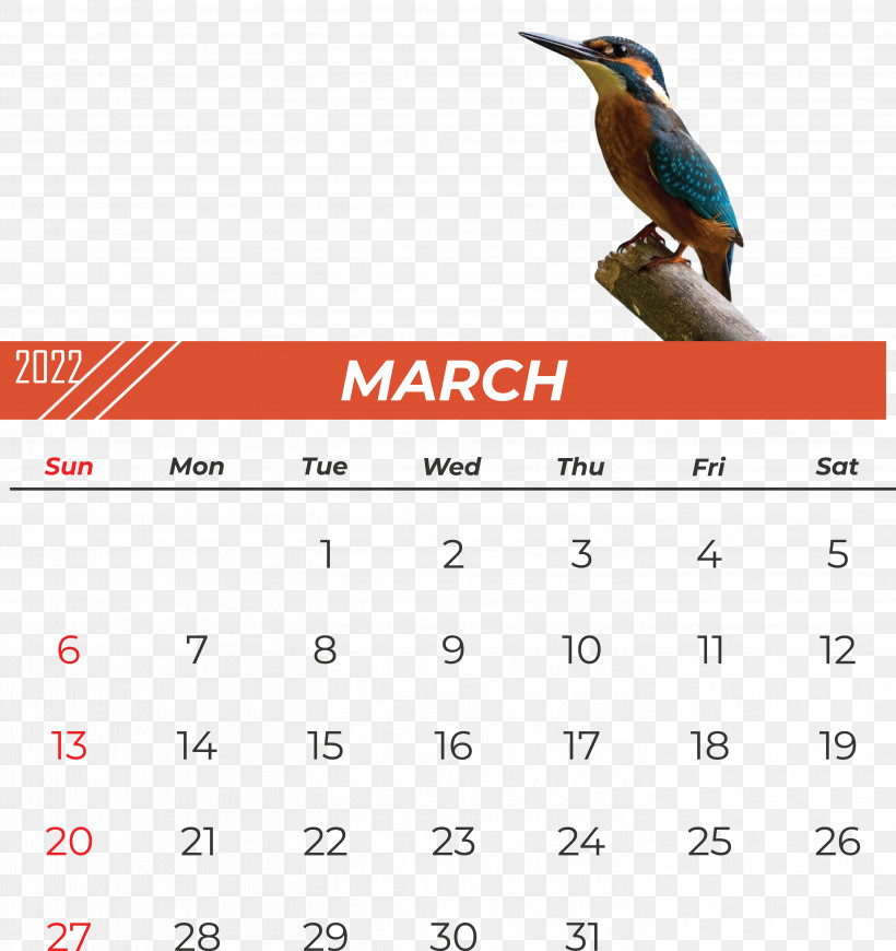 Birds Beak Calendar Font Research, PNG, 5607x5949px, Birds, Beak, Biology, Calendar, Conifer Cone Download Free