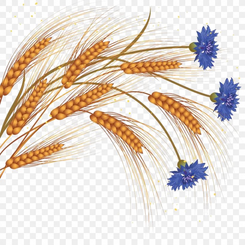 Common Wheat Flower Ear Clip Art, PNG, 1024x1024px, Common Wheat, Commodity, Ear, Emmer, Flower Download Free