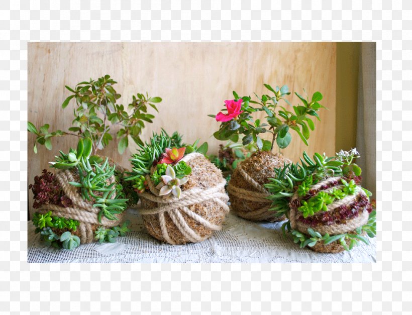Floral Design Flowerpot Succulent Plant Garden Kokedama, PNG, 946x724px, Floral Design, Ecology, Floristry, Flower, Flowerpot Download Free