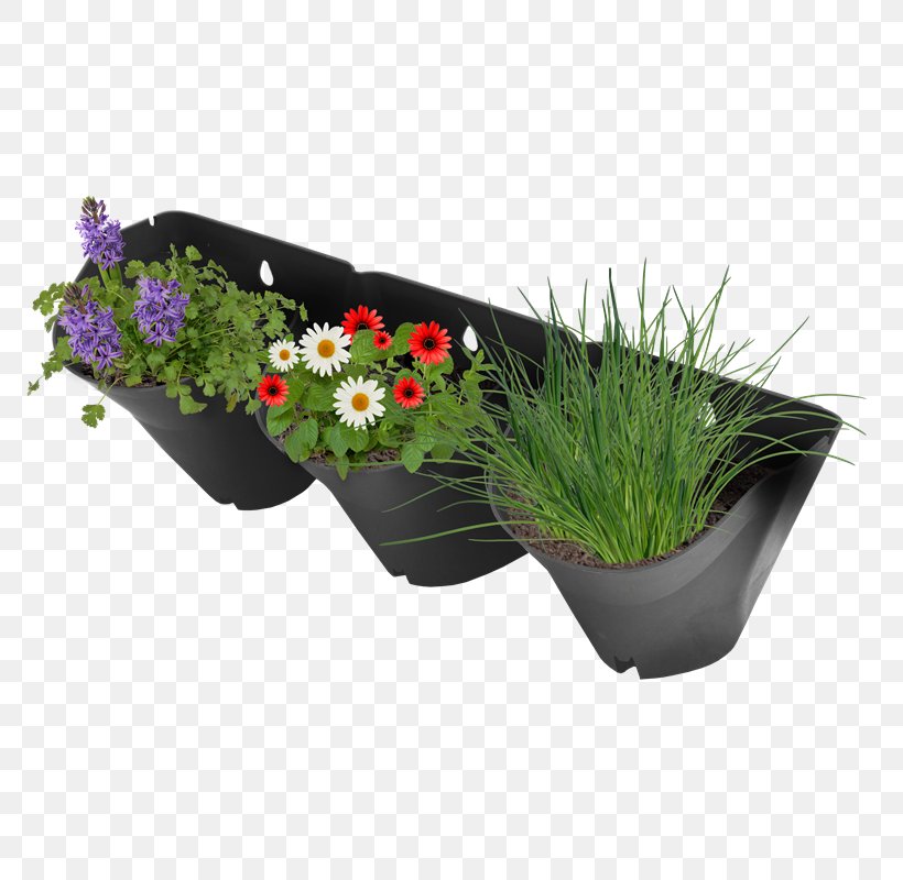Plastic Flowerpot Garden Lawn, PNG, 800x800px, Plastic, Centimeter, Charcoal, Flower, Flowerpot Download Free