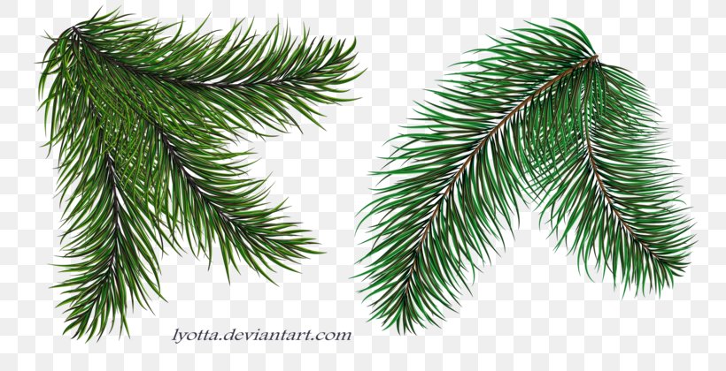 Spruce Twig Christmas Tree Christmas Ornament, PNG, 800x420px, Spruce, Balsam Hill, Branch, Christmas, Christmas Decoration Download Free