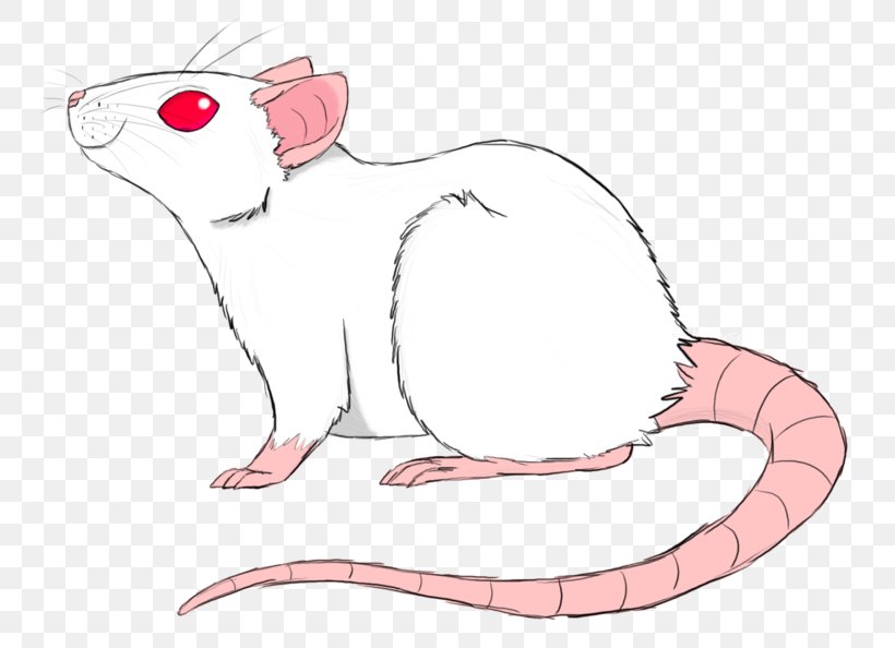 Whiskers Cat Clip Art Computer Mouse Fauna, PNG, 800x594px, Whiskers, Animal, Animal Figure, Art, Cat Download Free