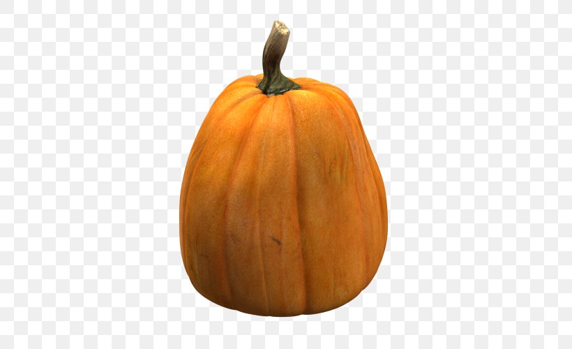 Jack-o'-lantern Calabaza Gourd Pumpkin Cucurbita Maxima, PNG, 500x500px, Jacko Lantern, Calabash, Calabaza, Carving, Crookneck Pumpkin Download Free