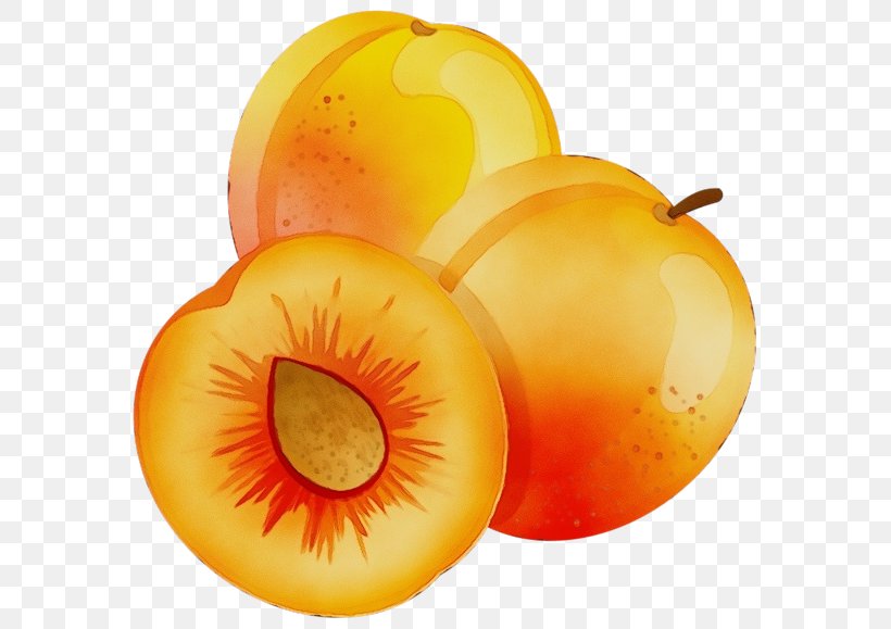 Orange, PNG, 600x579px, Watercolor, Food, Fruit, Natural Foods, Orange Download Free