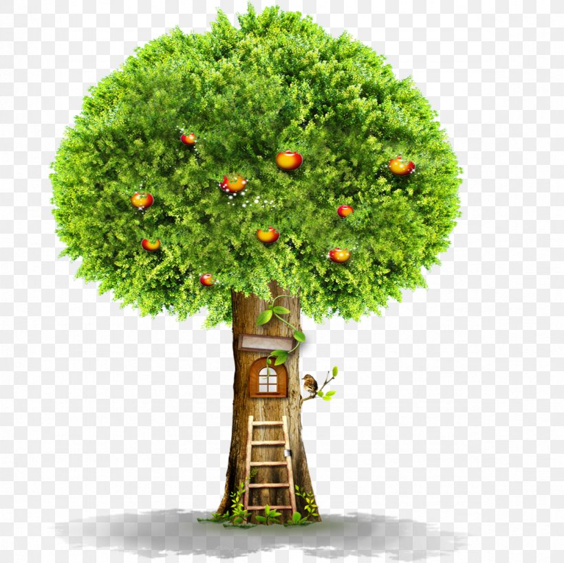 Tree Window Ladder, PNG, 1181x1181px, Tree, Apple, Evergreen, Flowerpot, Garden Download Free