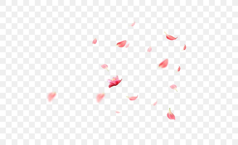 Petal Cherry Blossom Cerasus, PNG, 500x500px, Petal, Blossom, Cerasus, Cherry, Cherry Blossom Download Free